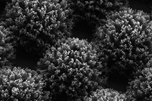 三沙三沙蔡司显微镜